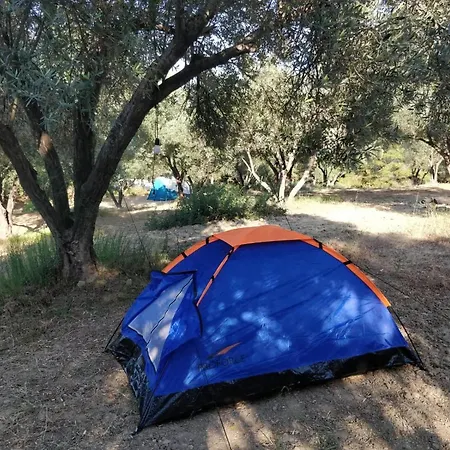 Zeytinlik Cadir Kamp Ve Piknik Yeri Luxury tent